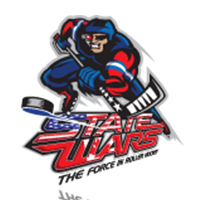 image of stat wars logo